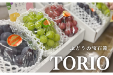 KF-B030-02【きよとうファーム】葡萄の宝石箱TORIO-トリオ-（シャインマスカット入り3品種詰め合わせ）/計1.8kg~ (岡山県産)