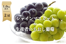 KF-B010-02【きよとうファーム】シャインマスカット＆生産者いちおし葡萄 ２房/計1.0kg~ (岡山県産)