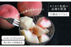 KF-A012-01【きよとうファーム】硬め桃 上級品 5-7玉入 (岡山県産)