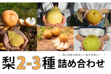 KF-C016【きよとうファーム】梨好きのための、梨2～3種食べ比べ ご家庭用 5-7玉 (岡山県産)