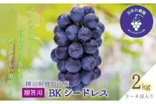 【2025年先行予約】ぶどう 岡山 花笑み農園の『BKシードレス』贈答用2kg（3～4房） hana38 岡山 真庭 フルーツ