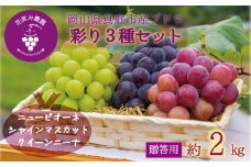 hana37.岡山　花笑み農園『彩り３種』（シャイン、クイーンニーナ、ピオーネ）（約2kg3房）