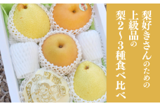 KF-C014【きよとうファーム】梨好きのための、梨2～3種食べ比べ 上級品 5-7玉 (岡山県産)