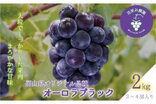 hana39.岡山　花笑み農園の『オーロラブラック』２kg（3～4房）