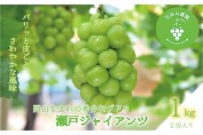 hana40.岡山　花笑み農園の『瀬戸ジャイアンツ』１ｋg（２房）