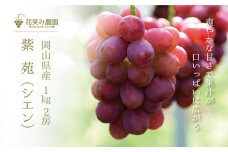 hana42.花笑み農園　岡山ぶどう『紫苑』１ｋｇ（２房）