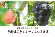 KF-T027【きよとうファーム】旬採り桃とボッケーネ（葡萄）の果物通におすすめしたい２回便！ (定期便)(岡山県産)