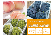 KF-T023【きよとうファーム】たっぷり食べたい！桃とピオーネ、シャインマスカットが届く３回便 (岡山県産)
