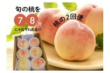 KF-T025【きよとうファーム】旬の桃の食べ比べを楽しむ、桃の２回便！(定期便) (岡山県産)