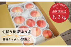 KF-A005【きよとうファーム】訳あり品 旬採り桃 (品種ミックス）8-11玉入/約2kg (岡山県産)