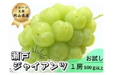 【お試し】フルーツ王国岡山　朝採り新鮮！人気ぶどう瀬戸ジャイアンツ１房 【2025年先行予約】 / 岡山 真庭 瀬戸ジャイアンツ 葡萄 ぶどう ブドウ 果物 フルーツ 新鮮 人気 数量限定 お買い得 訳あり 家庭用 ぶどう専門 林ファミリー (2025年9月下旬～発送予定)