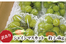 KF-B015-02【きよとうファーム】訳ありだけど、甘～いシャインマスカット/約2.4kg (岡山県産)