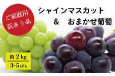 KF-B019【きよとうファーム】訳あり シャインマスカット＆おまかせ葡萄 3-5房/約2.0kg (岡山県産)