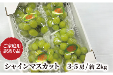 KF-B020-02【きよとうファーム】訳ありだけど、甘～いシャインマスカット/約2kg (岡山県産)