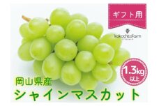 koko-01　ここちとふぁーむ　【ギフト】　岡山県産　シャインマスカット　2房　1.3kg以上