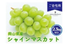 koko-03　ここちとふぁーむ　【ご自宅用】　岡山県産　シャインマスカット　4～5房　2.3kg以上