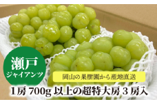 KF-B057【きよとうファーム】大きすぎて訳ありの瀬戸ジャイアンツ！特大3房/1房700g以上 (岡山県産)