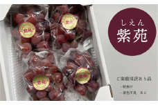 KF-B038【きよとうファーム】訳あり 紫苑 約2.0kg (岡山県産)