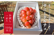 KF-B051【きよとうファーム】希少品種 爽やかな甘みのサニードルチェ（お試し１房500ｇ~） (岡山県産)