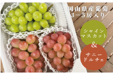 KF-B028【きよとうファーム】シャインマスカット＆希少品種のサニードルチェ 3-5房/計2.0kg~ (岡山県産)