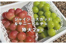 KF-B023【きよとうファーム】大粒シャインマスカット＆サニードルチェ 特大2房入/計1.3kg~ (岡山県産)