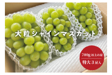 KF-B017-02【きよとうファーム】大きすぎて訳ありのシャインマスカット 特大３房入 /1房700ｇ以上(岡山県産)