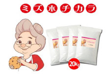 MIZUHO-20.パン用米粉 定番のミズホチカラ【20kg】微粉末　ベーカリー パン グルテンフリー