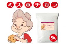 MIZUHO-5.パン用米粉 定番のミズホチカラ【5kg】微粉末　ベーカリー パン グルテンフリー