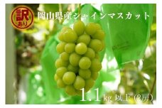 KGF-14.岡山県産 【訳あり】 シャインマスカット　1.1㎏以上　2房　産地直送　朝採れ 【kgftmt014】