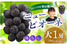 【2025年先行予約】ぶどう 岡山 花笑み農園『ニューピオーネ』700g以上（大1房） hana45. 岡山 真庭 ニューピオーネ 高級 贈答 2025 真庭市 大粒 葡萄 果物 フルーツ ニューピオーネ 人気 数量限定 2025年9月上旬～ 受付順に発送予定