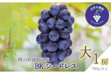 hana52.岡山　花笑み農園の『BKシードレス』７00g以上（大１房）
