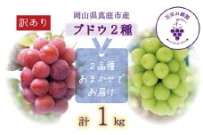 【2025年先行予約】 ぶどう 岡山 訳あり 花笑み農園の ぶどうおまかせ2種 （1kg） 農園厳選 hana49. / ぶどう ブドウ 葡萄 シャインマスカット ピオーネ クイーンニーナ オーロラブラック 瀬戸ジャイアンツ 翠峰 BKシードレス マスカサーティーン マスカットノワール 雄宝 マイハート 先行予約 フルーツ 果物 真庭市