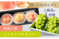 【定期便】【きよとうファーム】量より質！ 厳選した大玉桃と大粒のシャインマスカットが届く ２回便！ (定期便)(岡山県産) KF-T037-02 / ぶどう ブドウ モモ もも フルーツ 果物 定期 きよとう果樹園 真庭市