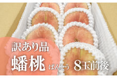 【きよとうファーム】訳あり 蟠桃 ご家庭用 8玉前後 (岡山県産) KF-A020-01