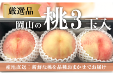 KF-A016-02【きよとうファーム】厳選品 旬の桃（品種おまかせ）3玉入 (岡山県産)