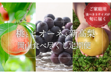 KF-T034【きよとうファーム】岡山果物食べ尽くし！桃とピオーネと新高梨が毎月届く３回便！ (定期便)(岡山県産)