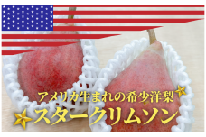 KF-C018-02【きよとうファーム】希少品種の洋梨！スタークリムソンペア ご家庭用 5-8玉(岡山県産)