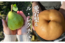 KF-C019【きよとうファーム】あたご梨＆ル・レクチェ ご家庭用 5-7玉 (岡山県産)