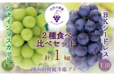 hana47.岡山　花笑み農園『シャインマスカット&BKシードレス』1kg(2房)