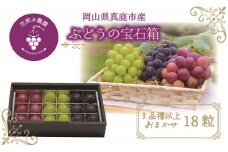 hana50.花笑み農園　岡山『ぶどうの宝石箱』３種以上（18粒入り）