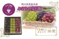 hana51.花笑み農園　岡山『ぶどうの宝石箱』３種以上（36粒入り）