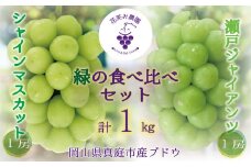 【2025年先行予約】 ぶどう 岡山 花笑み農園の『シャインマスカット&瀬戸ジャイアンツ』1kg (2房) hana46. / ぶどう ブドウ 葡萄 シャインマスカット 瀬戸ジャイアンツ 先行予約 フルーツ 果物 真庭市
