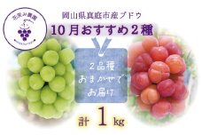 【2025年先行予約】 ぶどう 岡山 花笑み農園のぶどう【10月おすすめ 2種セット】1kg（2房） hana20. / ぶどう 詰め合わせ 食べ比べ ブドウ シャインマスカット ピオーネ クイーンニーナ オーロラブラック 瀬戸ジャイアンツ 翠峰 BKシードレス マスカサーティーン マスカットノワール 雄宝 マイハート 先行予約 フルーツ 果物 真庭市