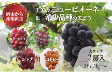 KF-B071【きよとうファーム】ピオーネ＆希少品種の詰め合わせ 特大２房/計1.3kg~ (岡山県産)
