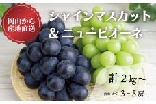 KF-B070-02【きよとうファーム】シャインマスカット＆ニューピオーネ 3-5房/計2.0kg~ (岡山県産)