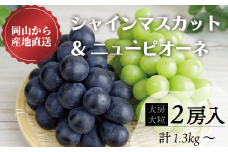 KF-B069-02【きよとうファーム】シャインマスカット＆ピオーネ 特大２房/計1.3kg~ (岡山県産)