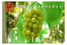 KGF-15.岡山県産 【訳あり】 シャインマスカット　1.6㎏以上　2～3房　産地直送　朝採れ 【kgftmt015】