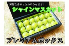 koko-09　ここちとふぁーむ　シャインマスカット　プレミアムボックス