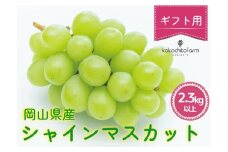 koko-04　ここちとふぁーむ　【ギフト】　岡山県産　シャインマスカット　3～4房　2.3kg以上