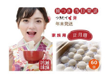 Nama60.年末発送 正月用 ひめのもち つきたて生餅60